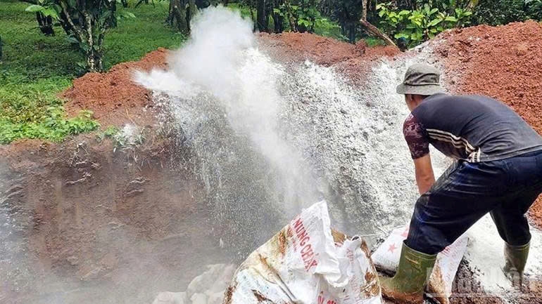 Lam Dong scrambles to wipe out African swine fever